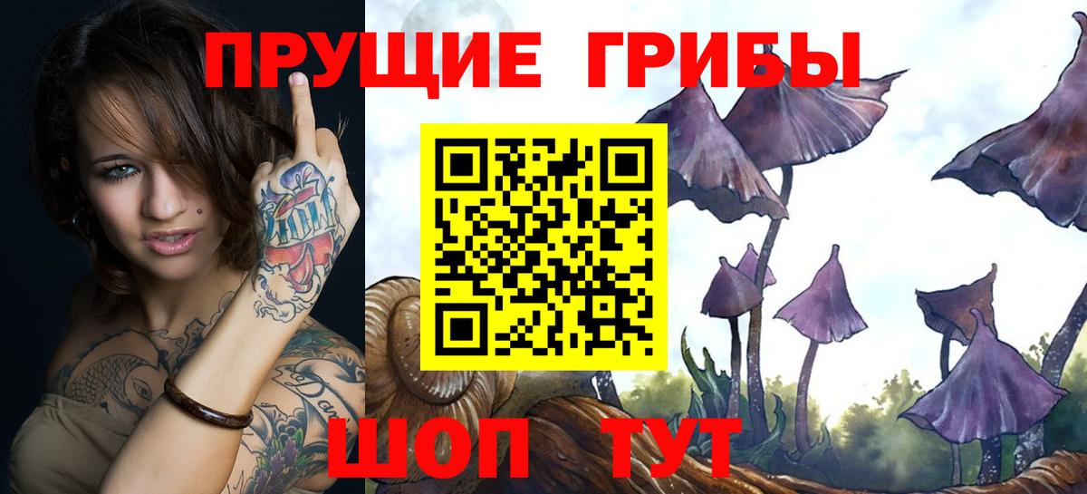 Псилоцибиновые грибы мицелий  Вход с VPN  Владивосток  Псилоцибиновые грибы прущие грибы 
