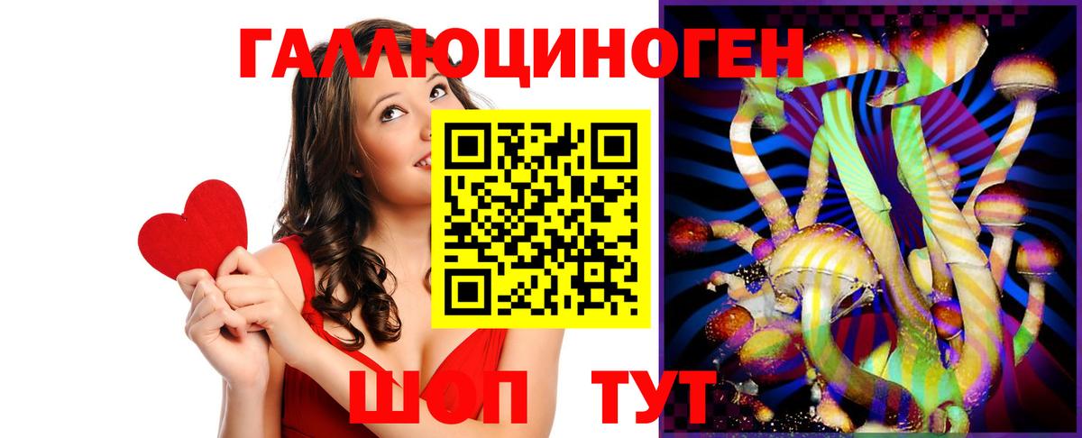 Галлюциногенные грибы Psilocybe Владивосток